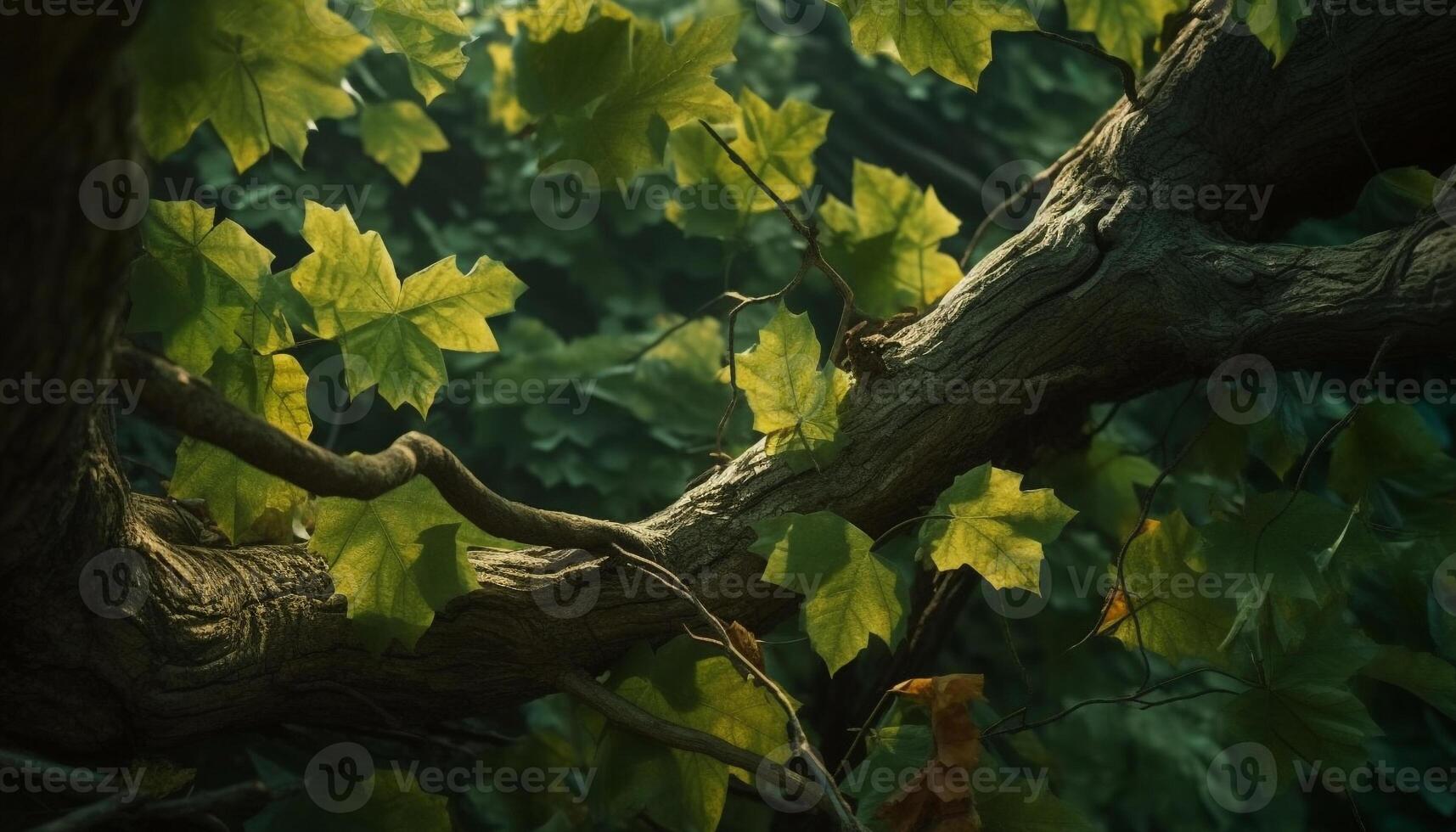 vivace autunno le foglie adornano il vecchio albero nel il foresta generato di ai foto