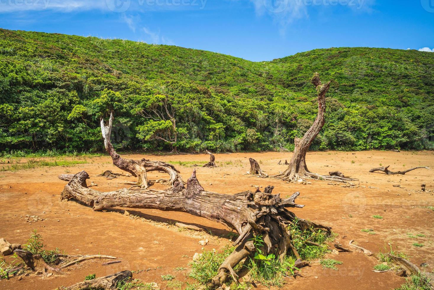 scenario di stagno celeste, aka datienchih o duwawa, a taitung, taiwan foto