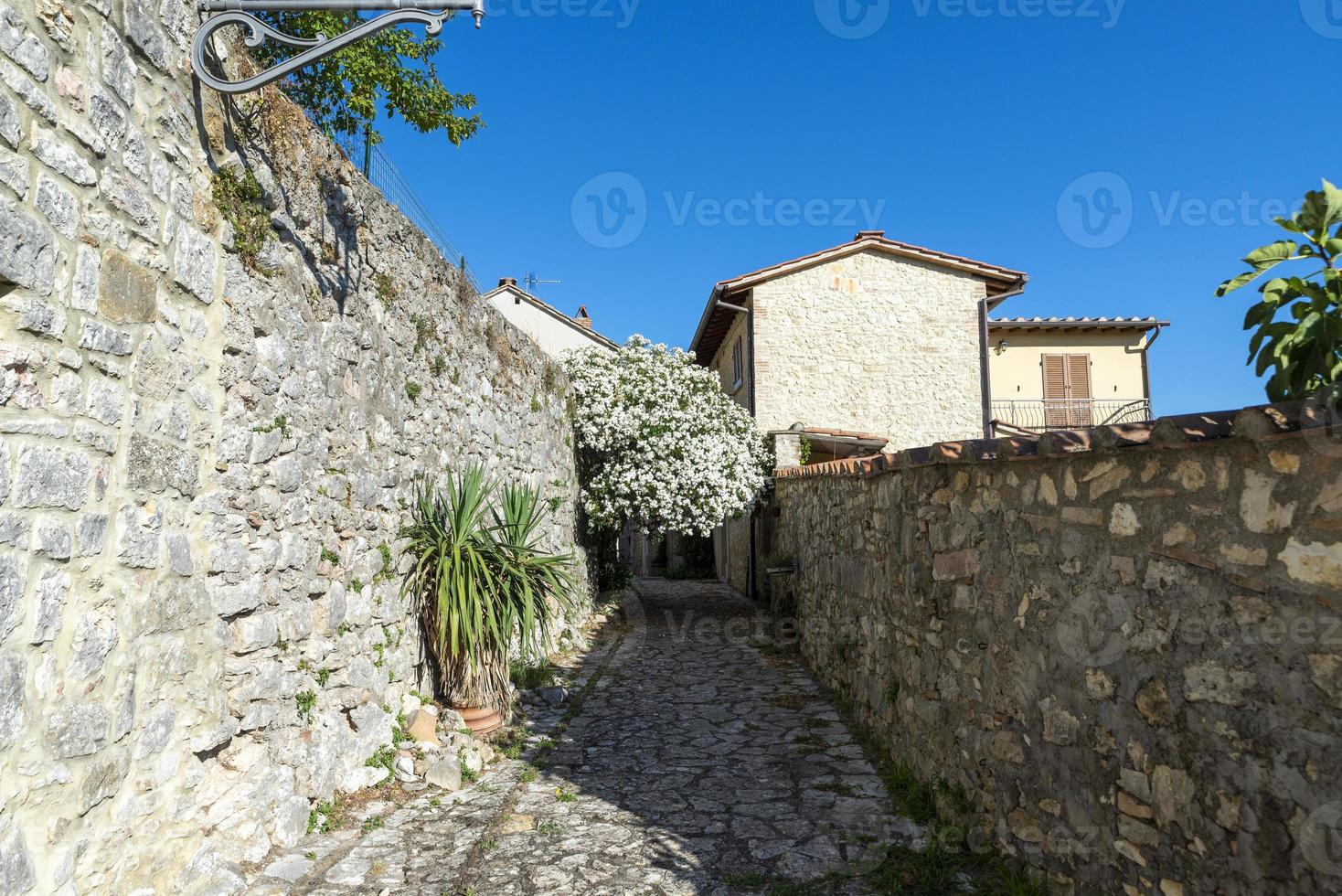 architettura di strade ed edifici nel centro di amelia foto