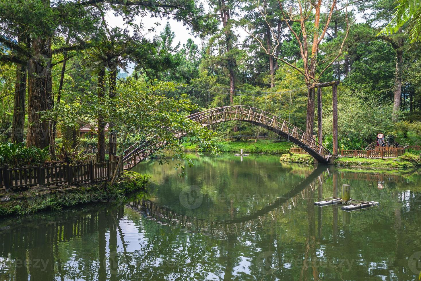 area ricreativa della foresta di xitou a nantou, taiwan foto