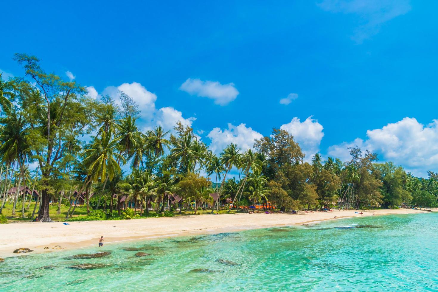 bellissima spiaggia tropicale e mare foto