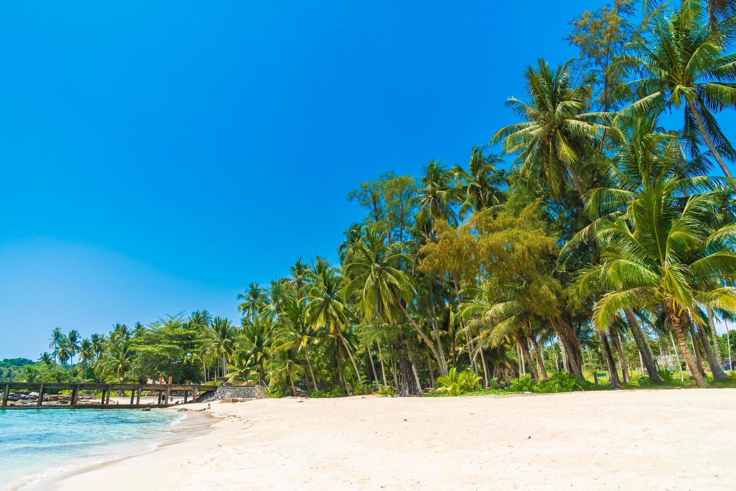 bellissima spiaggia tropicale e mare foto