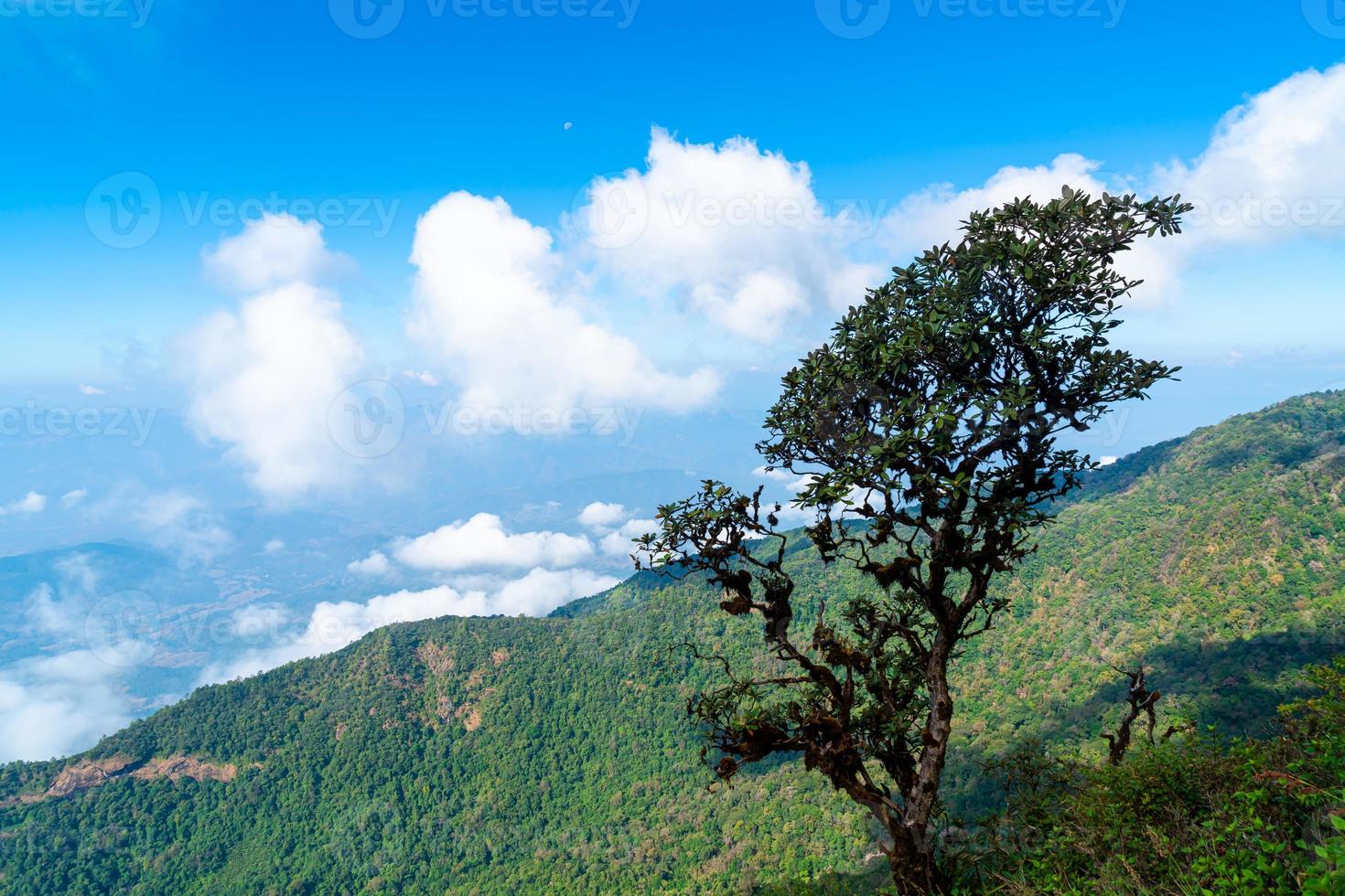 bellissimo strato di montagna con nuvole e cielo blu al sentiero naturalistico di Kew Mae Pan a Chiang Mai, Thailandia foto