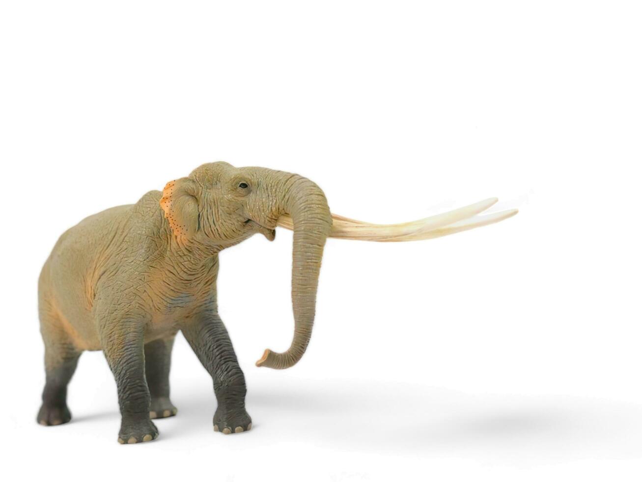 elefante con lungo zanne animale miniatura su bianca sfondo foto