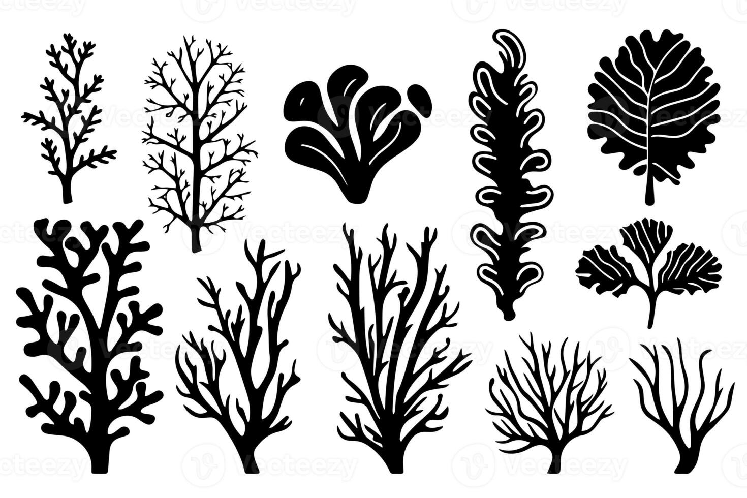 mano disegnato impostato di coralli e alga marina silhouette isolato su bianca sfondo. vettore icone e francobollo illustrazione. foto