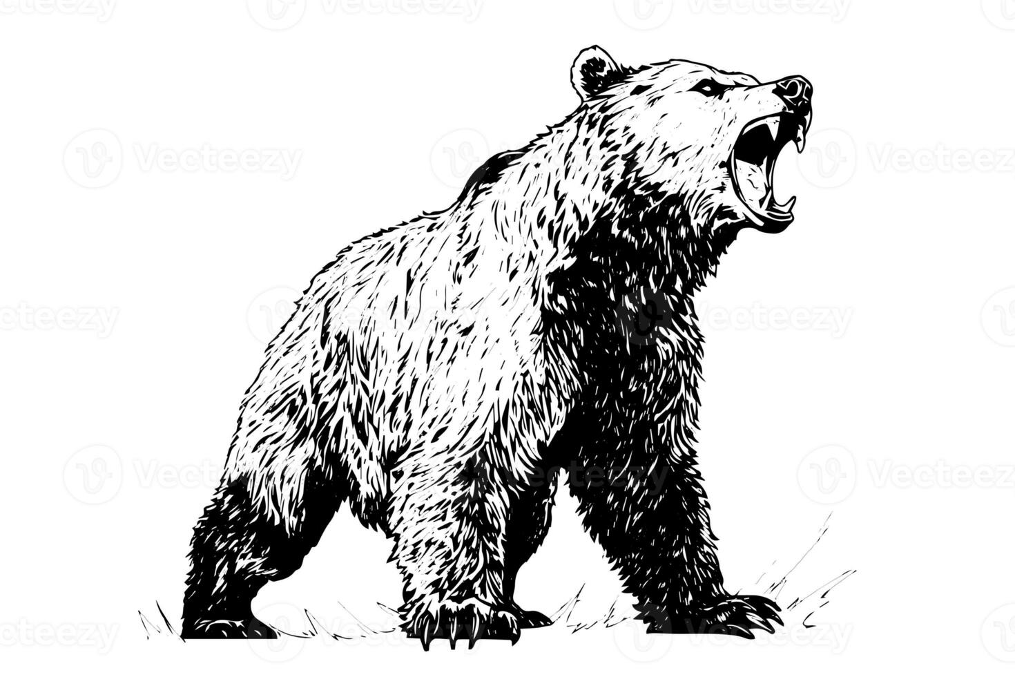 inchiostro mano disegno schizzo orso portafortuna o logotipo. vettore illustrazione nel incisione stile. foto