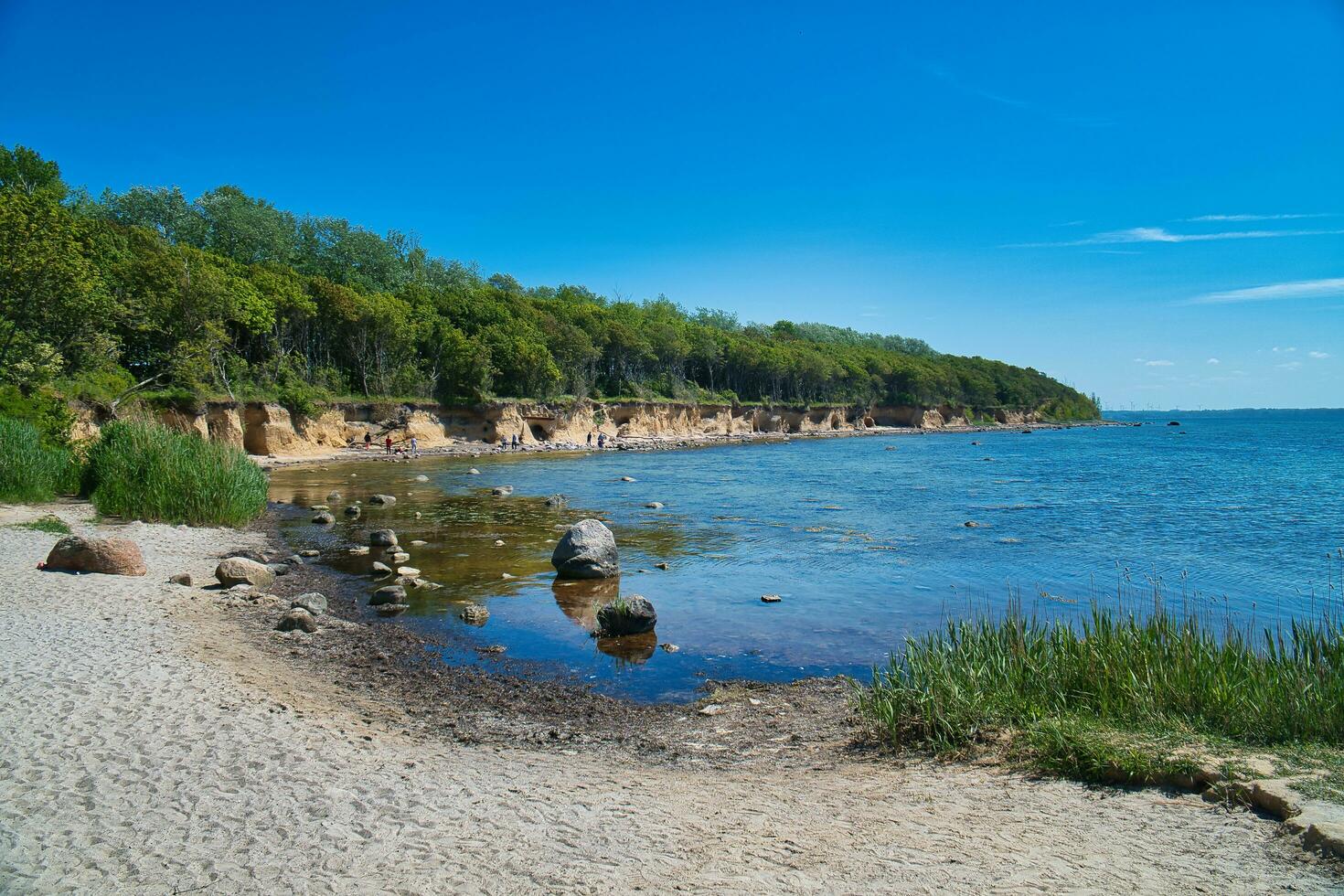 baia su il isola di poel su il baltico mare. pietra spiaggia, con alberi su il costa foto
