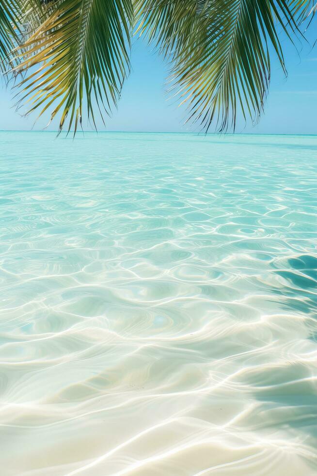 bellissimo palma foglia ombra su astratto bianca sabbia spiaggia con illuminata dal sole acqua superficie un' Perfetto estate vacanza sfondo foto