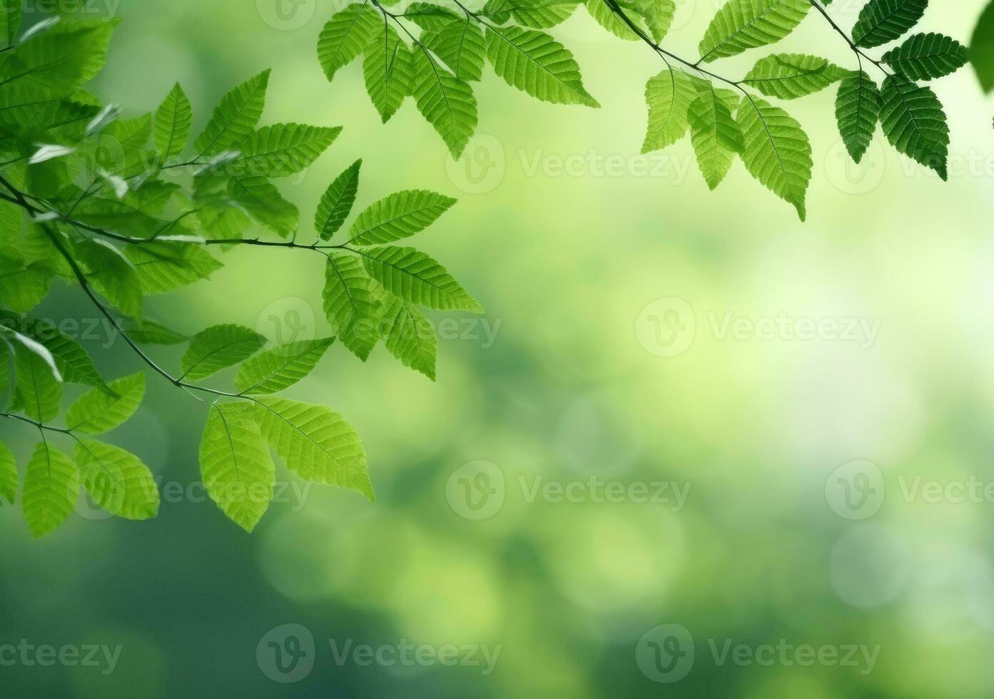 verde le foglie sfondo nel soleggiato giorno con bokeh e copia spazio foto