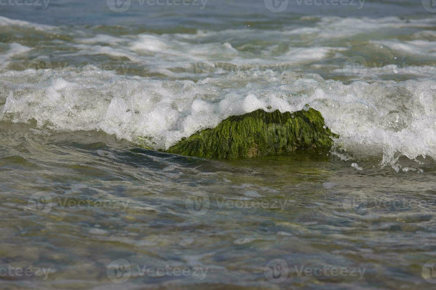 mare paesaggio con un' masso coperto di vegetazione con verde alghe e onde di il mare nel il sfondo foto