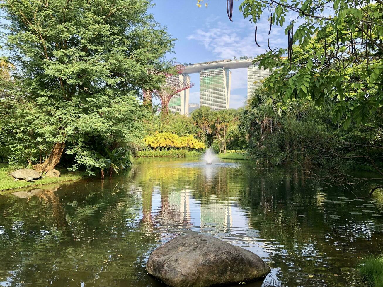 Singapore, agosto 31 2023 giardino di il baia e Visualizza di grattacieli vedere marina baia Visualizza di attività commerciale quartiere foto