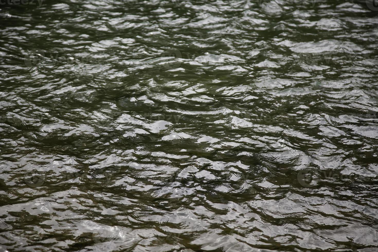 onde nelle acque del mare foto