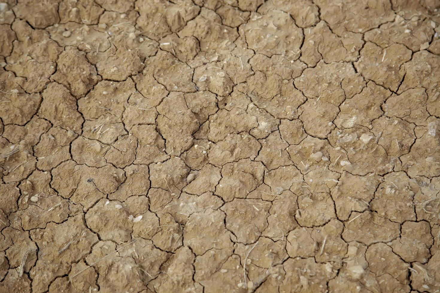 terreno asciutto in natura foto