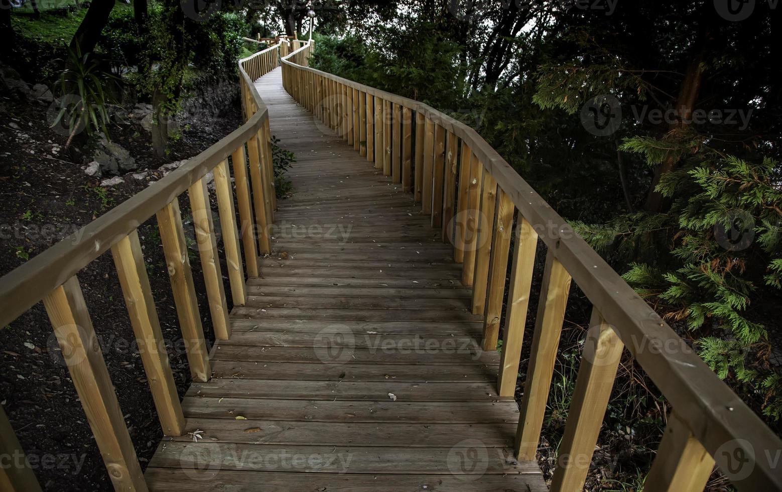 sentiero di legno nella foresta foto