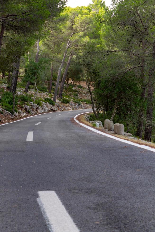 strada tra gli alberi. pista ciclabile di maiorca foto