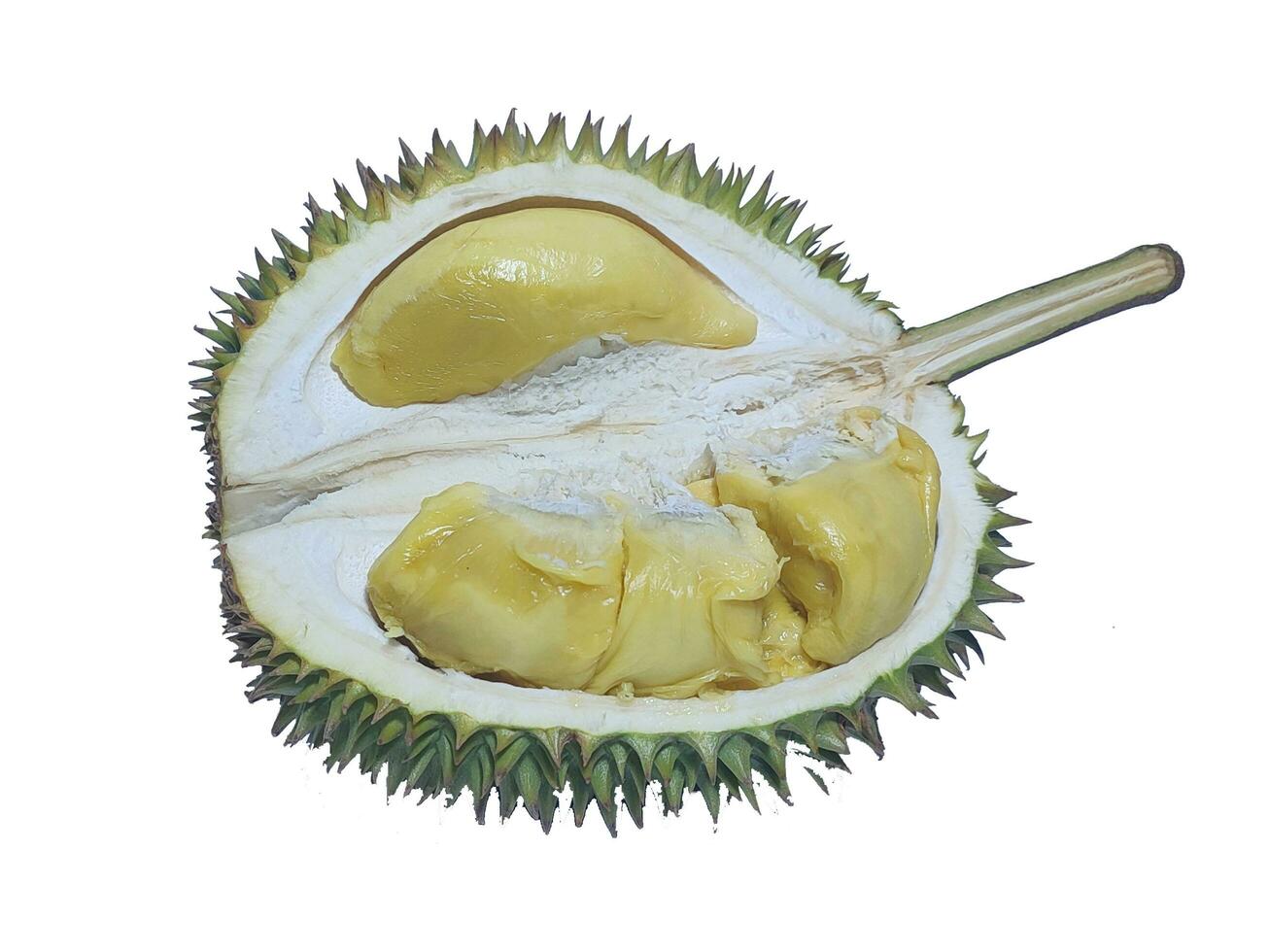 durian, comunemente chiamato il re di frutta, è un' tropicale frutta, isolato su bianca sfondo foto