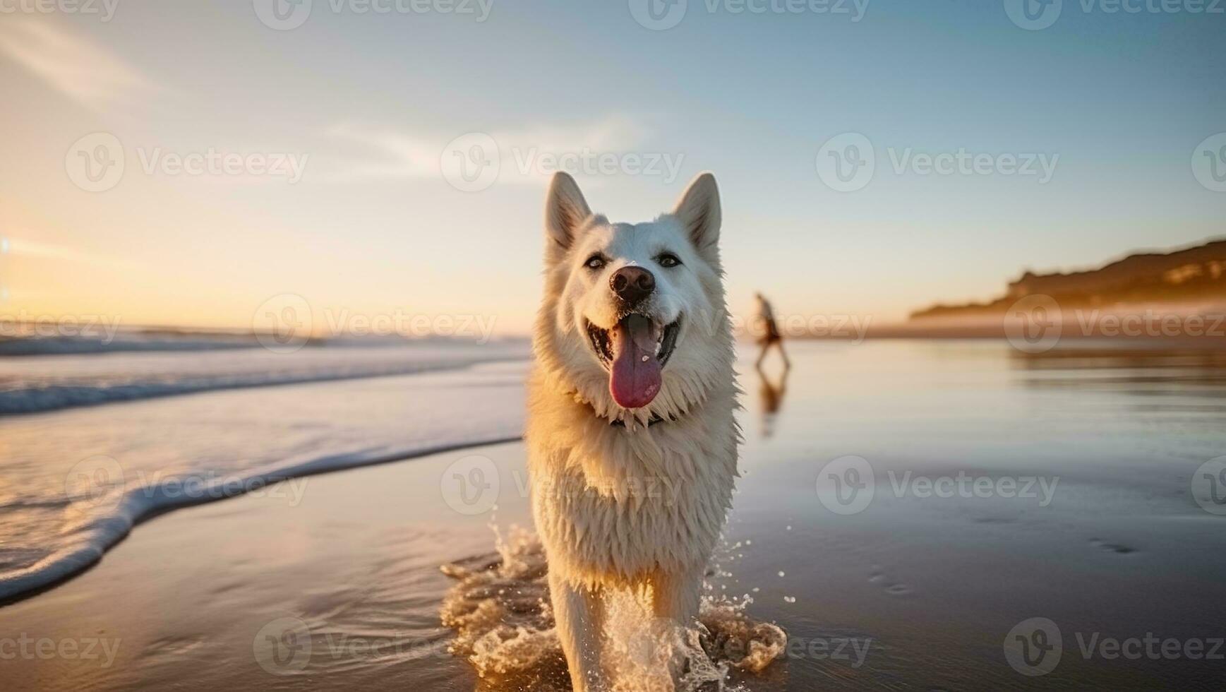 contento cane su un' spiaggia, generativo ai foto