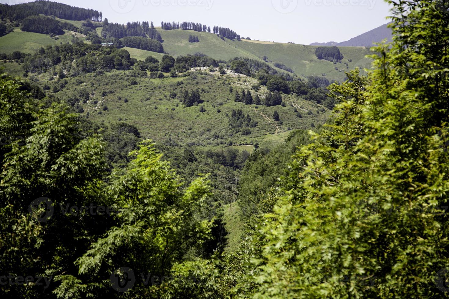 paesaggio con montagne foto