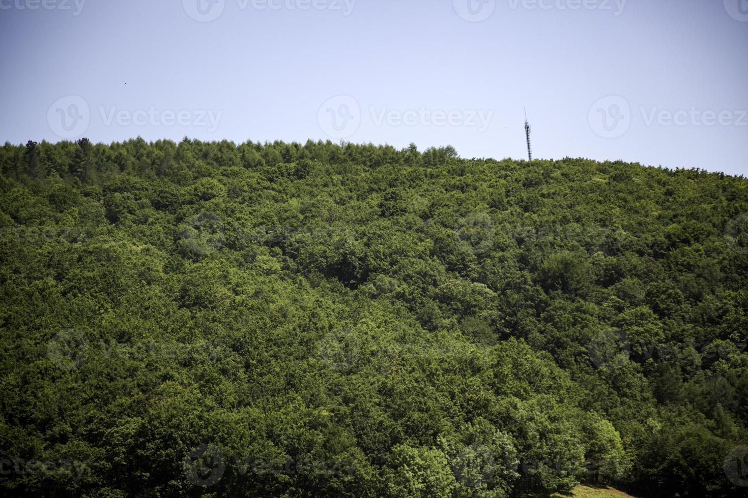 paesaggio con montagne foto