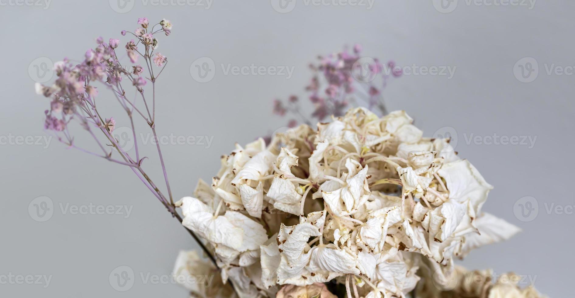 un mazzo di fiori secchi appassiti foto