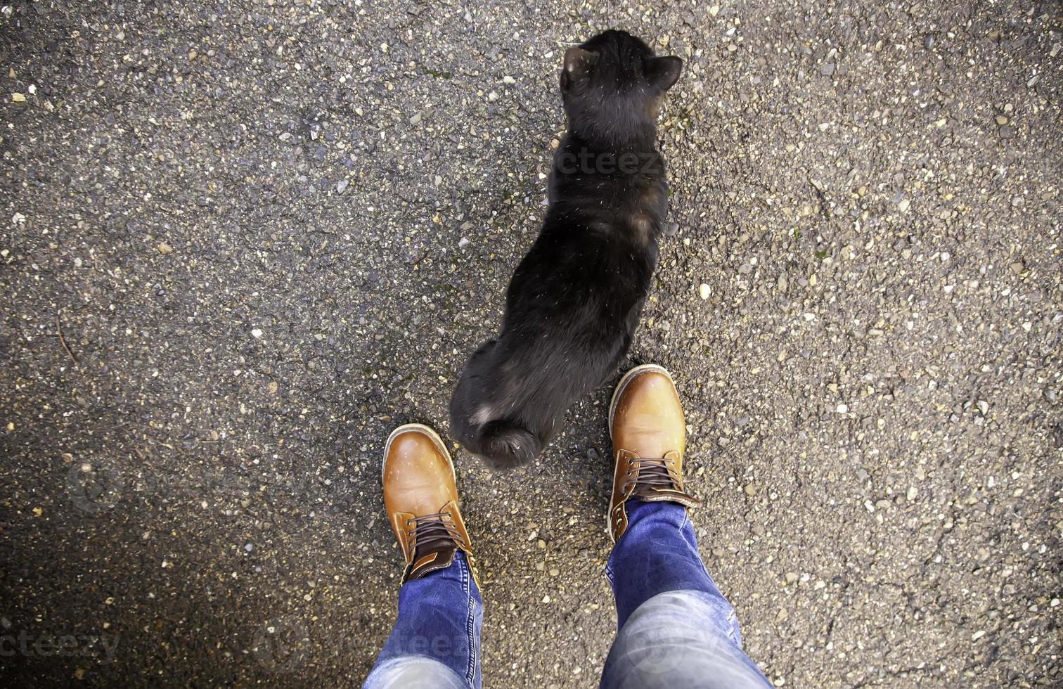 gatto nero per strada foto