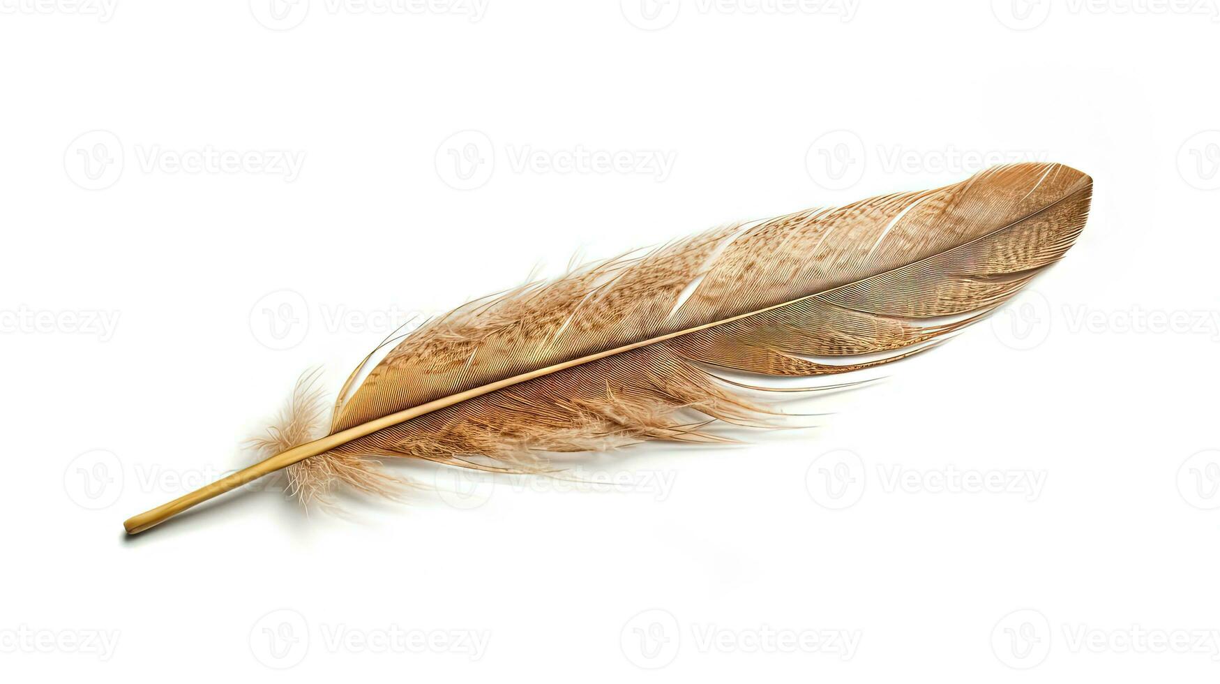 uccello piuma su bianca sfondo. bellissimo uccello piume o ala elemento, isolato liscio piuma. generato ai. foto