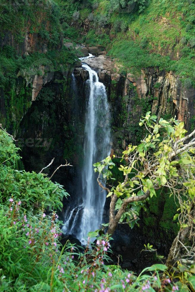 bella cascata in montagna. paesaggio, foto