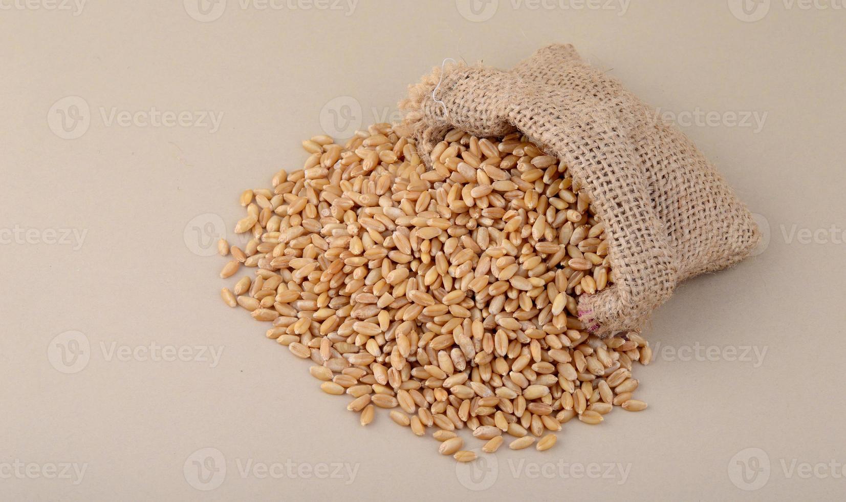 grano in un piccolo sacco sullo sfondo, da vicino. foto