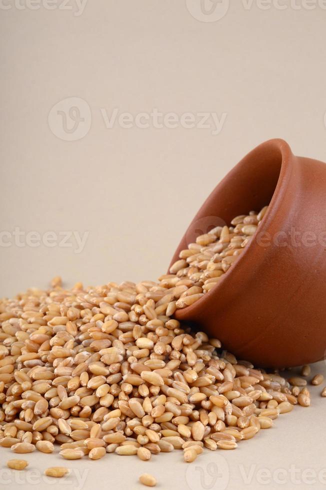 chicchi di grano in vaso di argilla su fondo crema. avvicinamento. foto