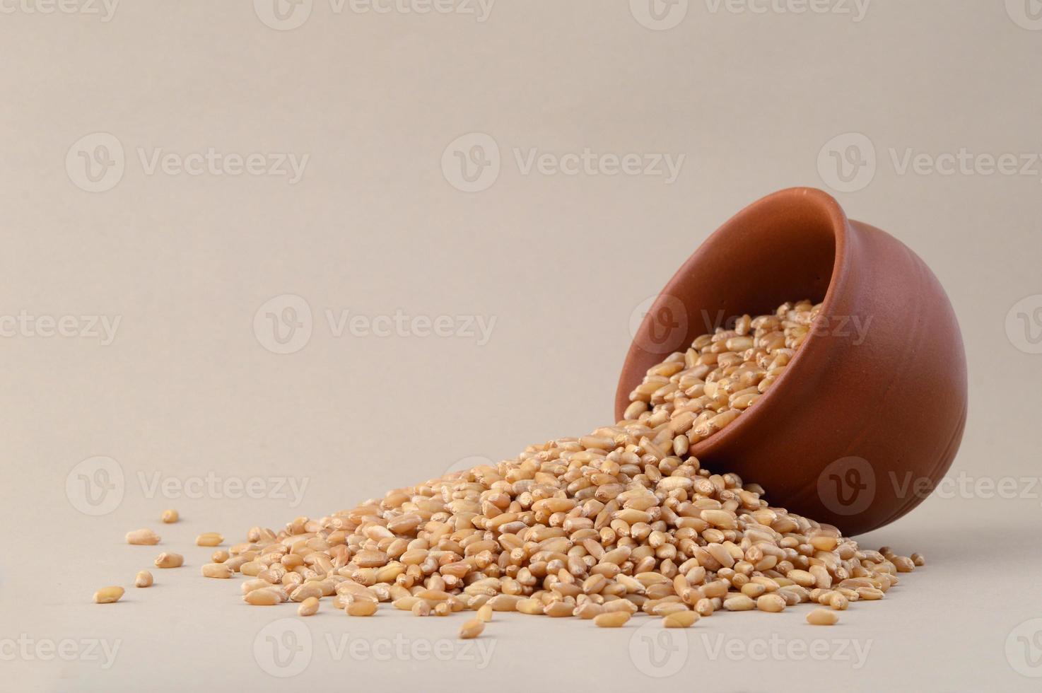 chicchi di grano in vaso di argilla su fondo crema. avvicinamento. foto