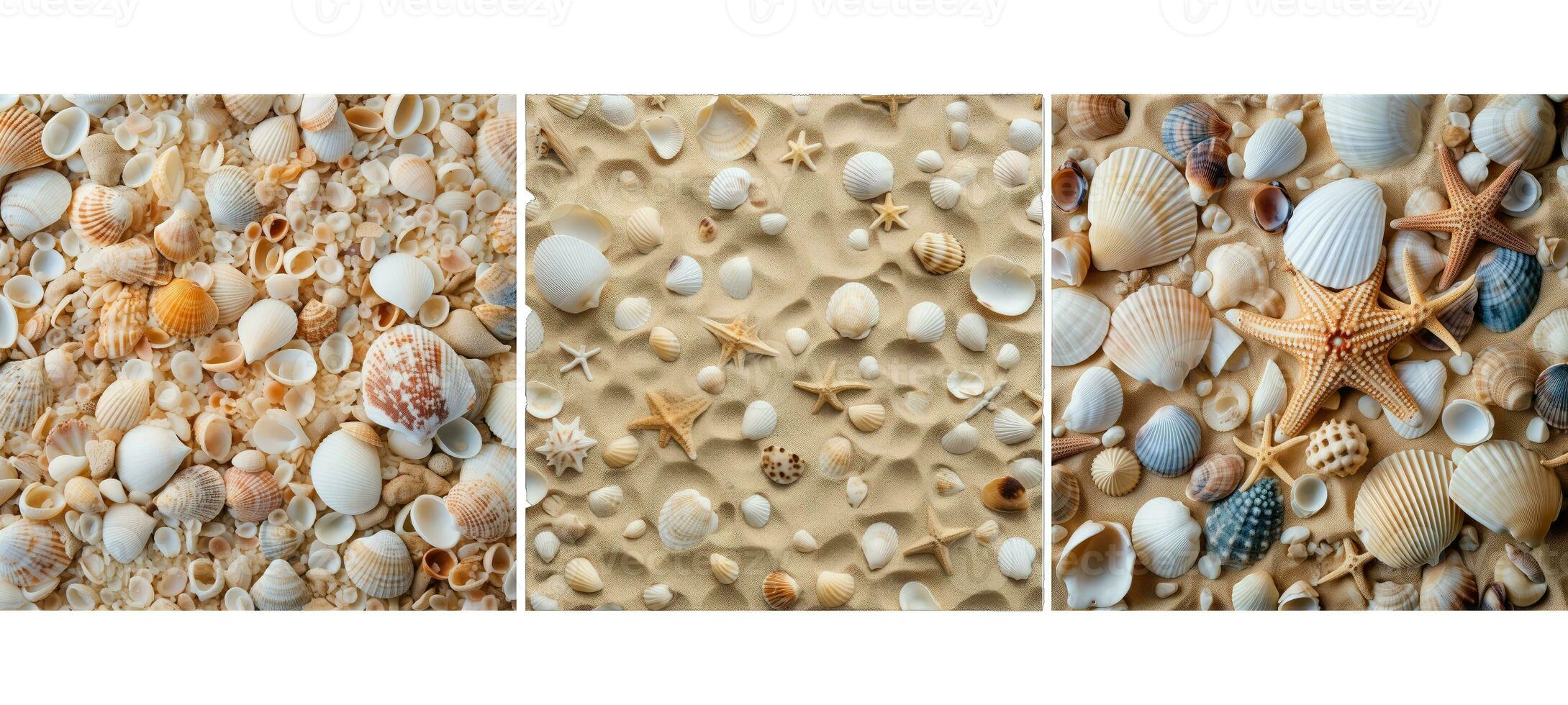 estate spiaggia sabbia conchiglie sfondo struttura foto