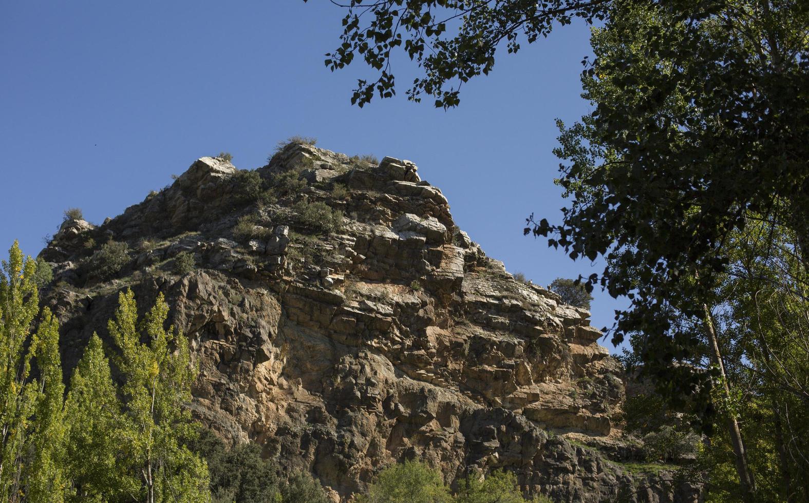 avvoltoi leonados nella montagna di yanguas, uno dei villaggi più belli della spagna, provincia di soria, castilla y leon, spagna foto