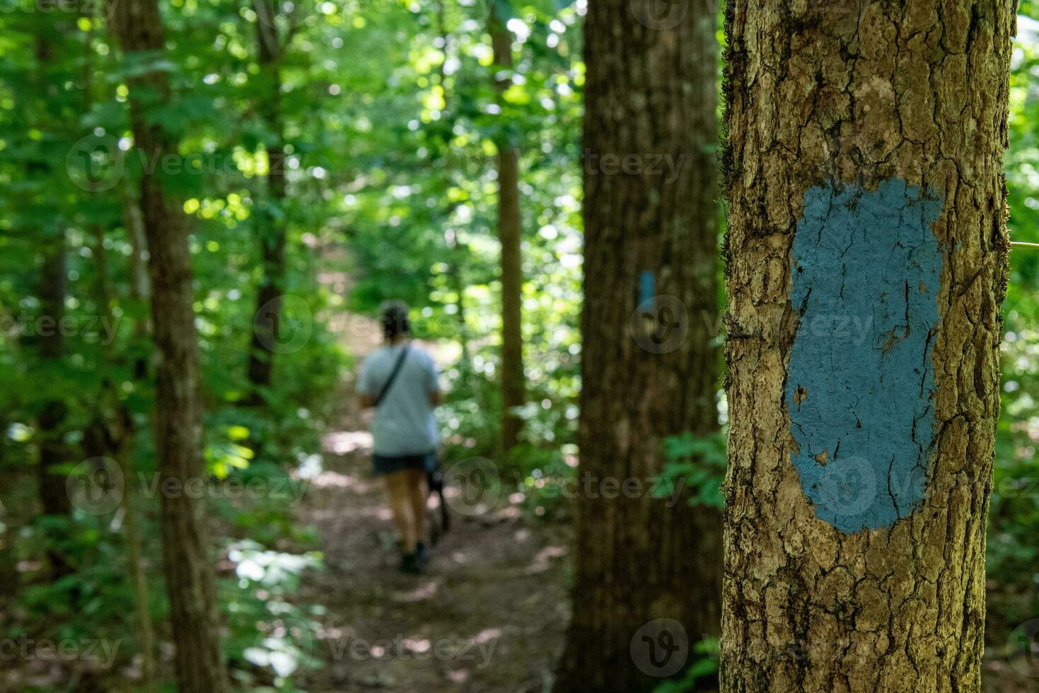 monte Sano stato parco foto