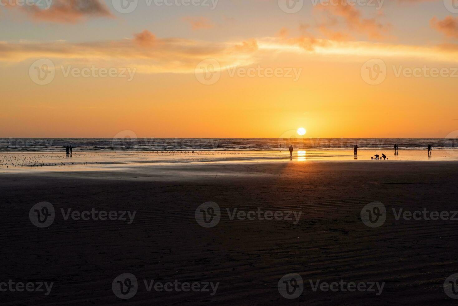 Pacifico spiaggia stato parco foto