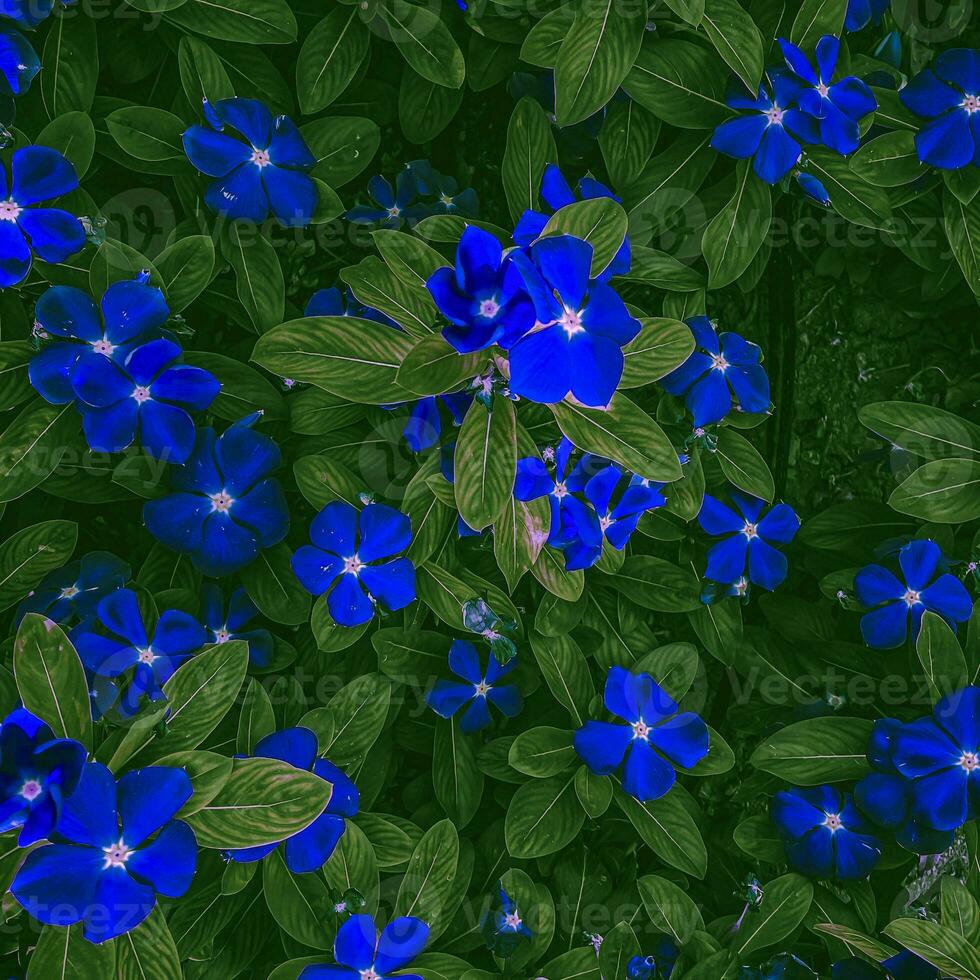 un' mazzo di blu fiori con verde sfondo foto