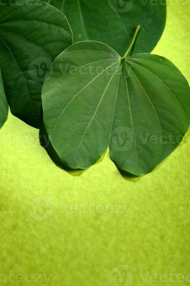 festival indiano dussehra, che mostra foglie e fiori d'oro su sfondo verde. biglietto d'auguri. foto