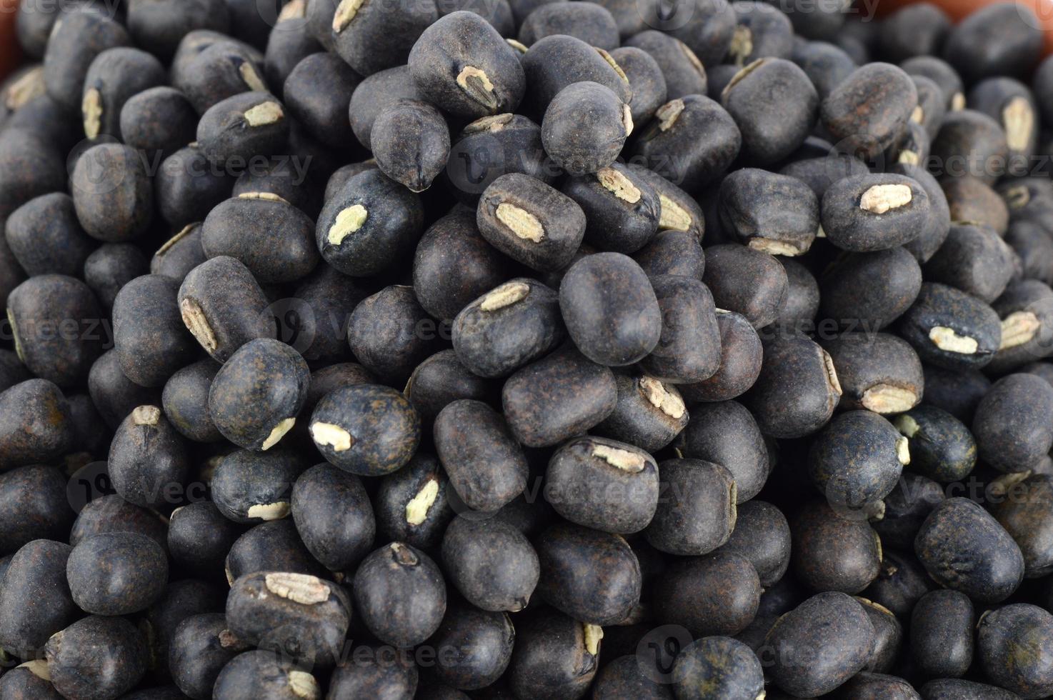 urad dal, grammo nero, vigna mungo su sfondo bianco foto