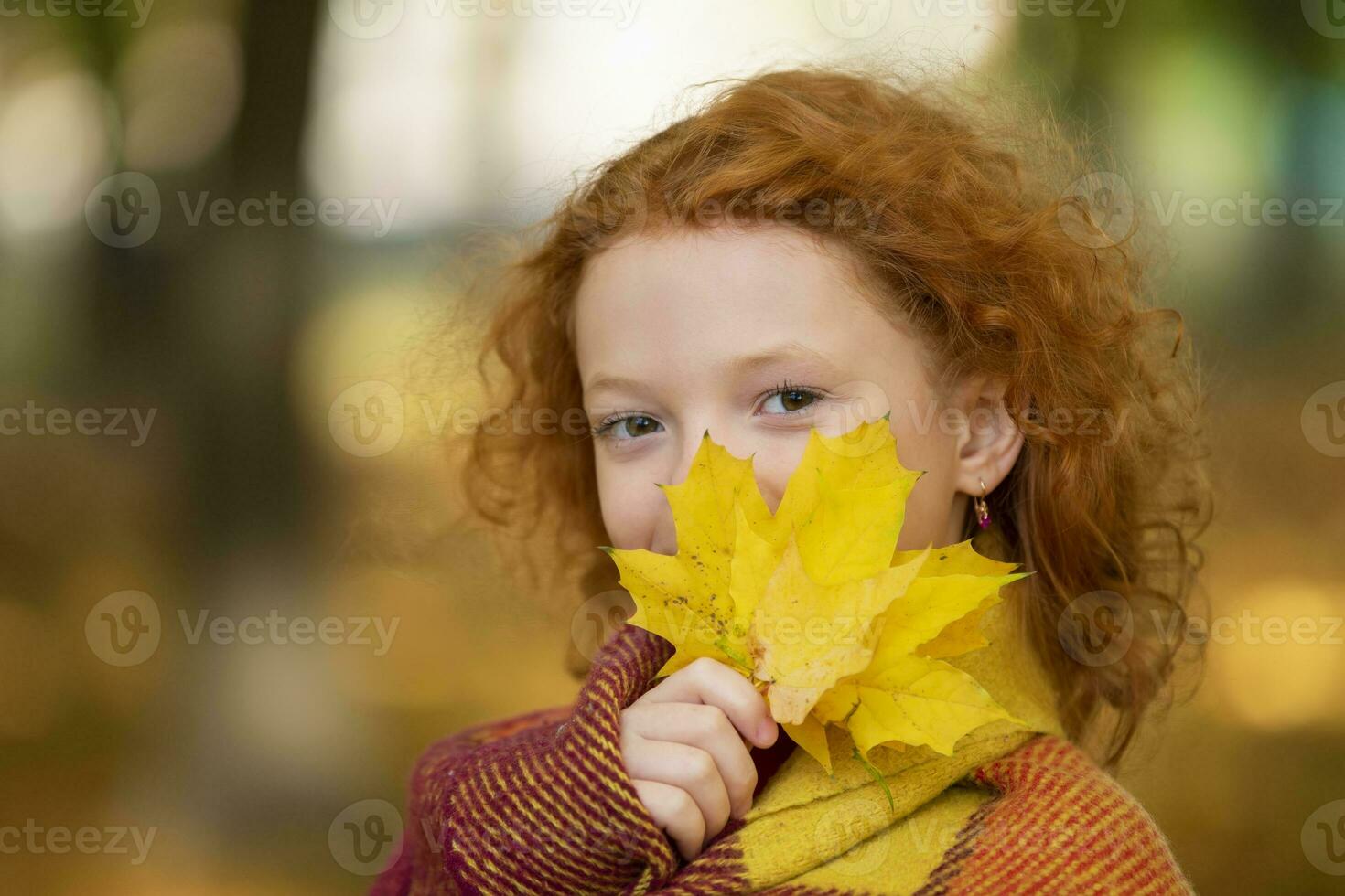 dai capelli rossi poco ragazza coperture sua viso con un' giallo acero foglia. allegro bambino nel il autunno giorno primo piano.concetto di il In arrivo di autunno. foto