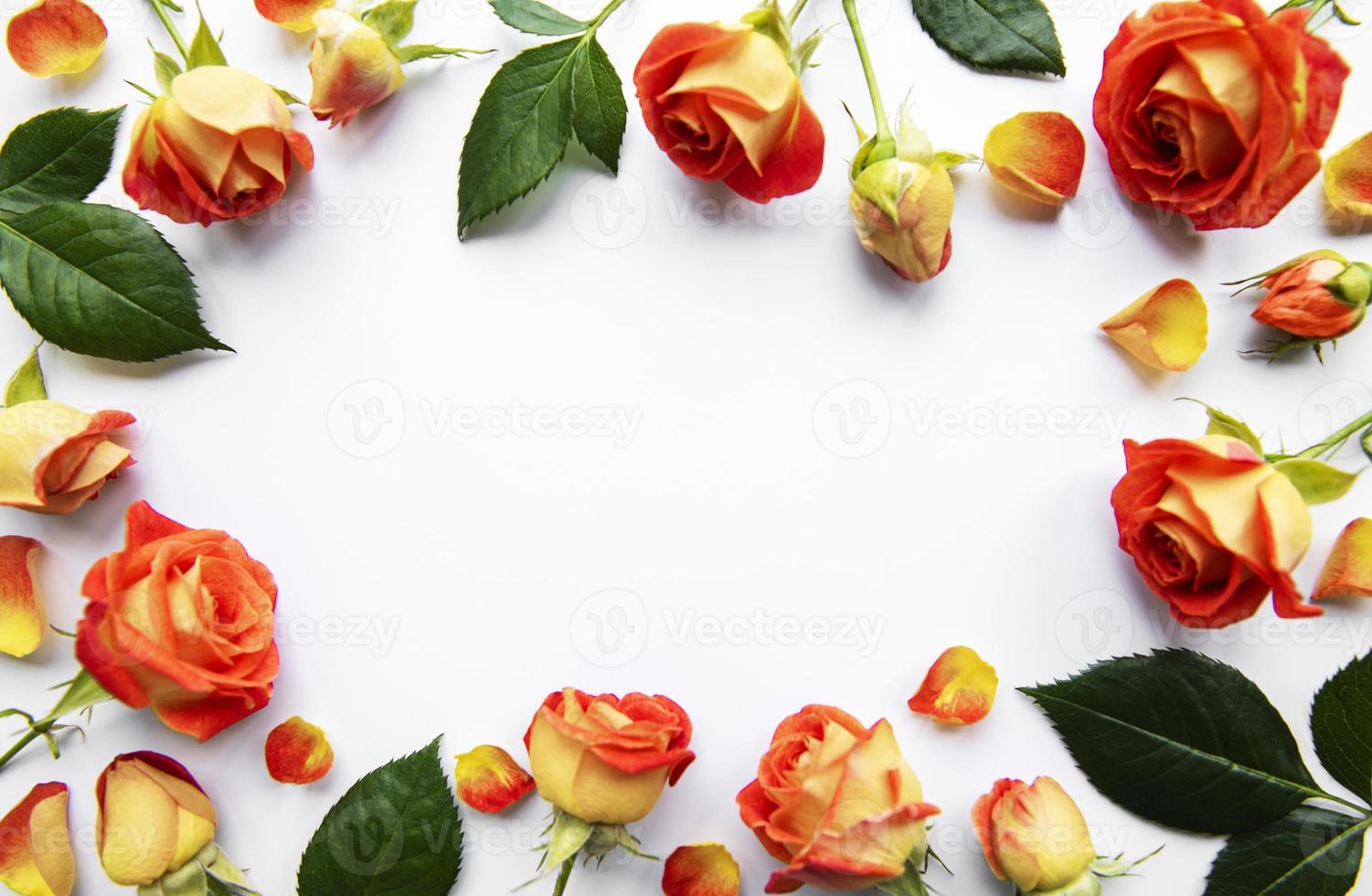 composizione di fiori. cornice fatta di rose rosse e foglie su sfondo bianco foto