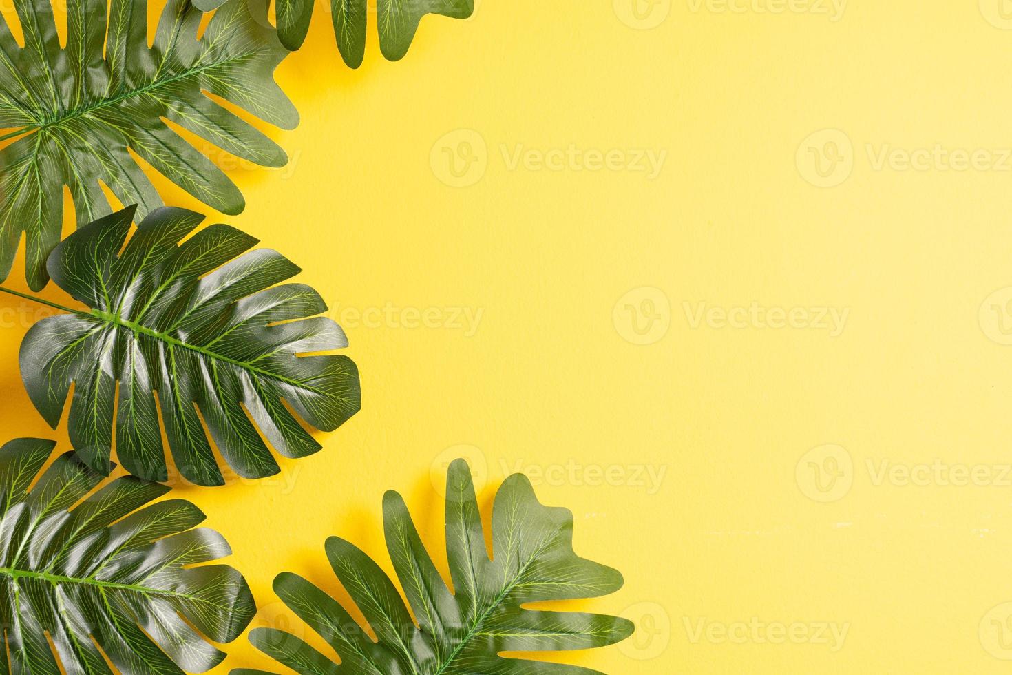 foglie tropicali su sfondo giallo, sfondo estivo foto