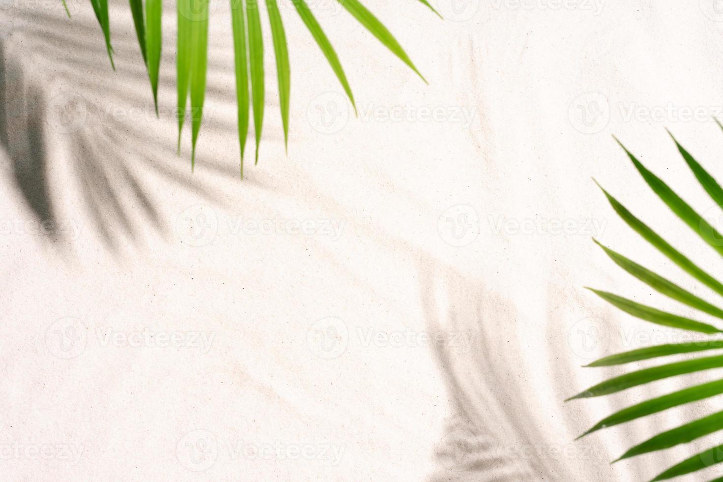 le foglie di palma proiettano ombre sulla sabbia foto