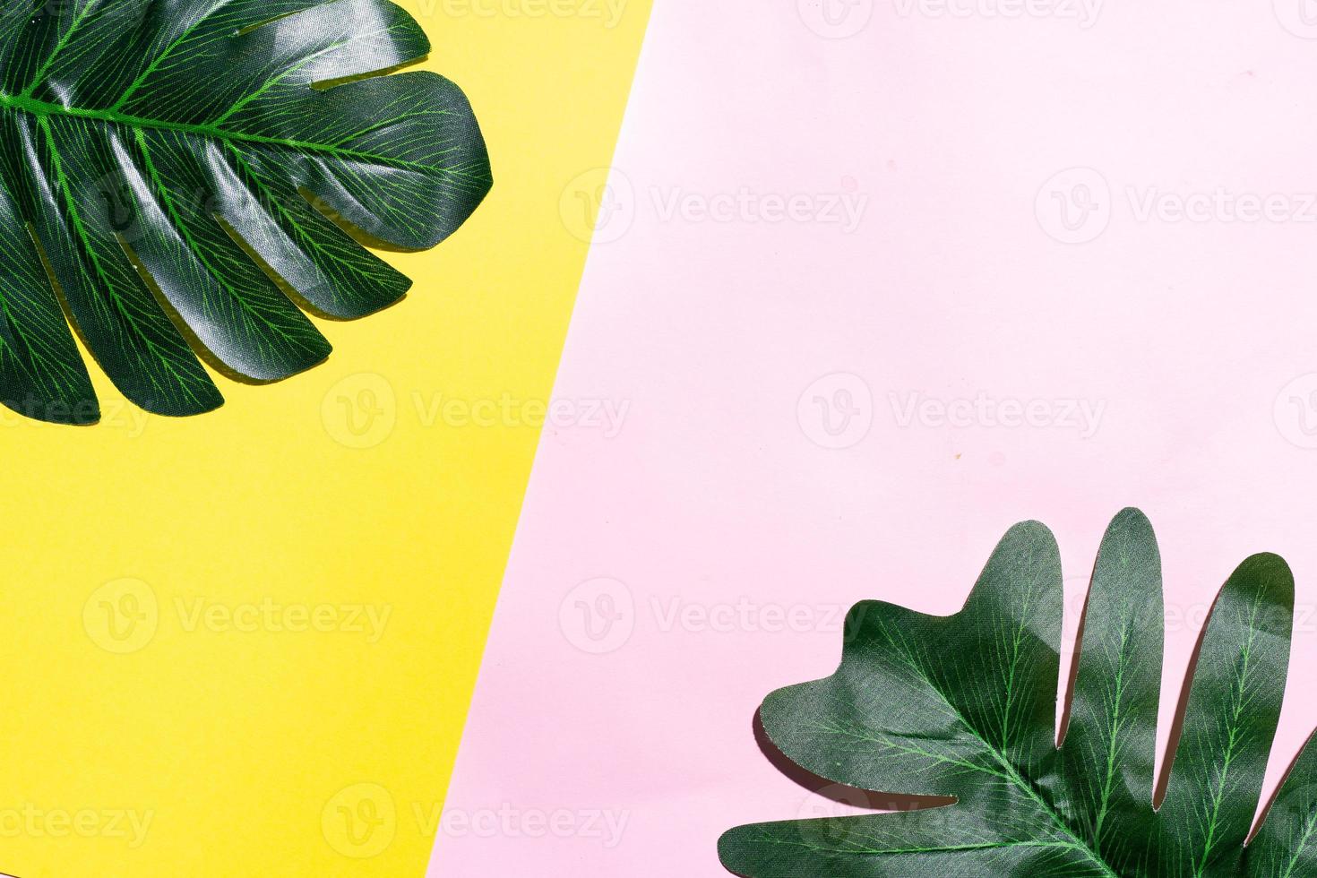 sfondo estivo con foglia su sfondo giallo e rosa foto
