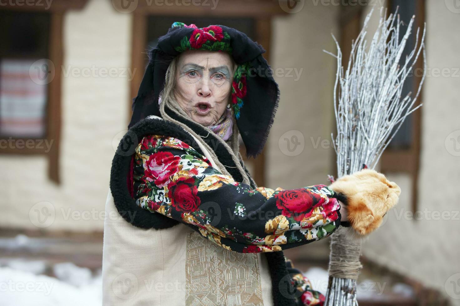baba yaga. Fata racconto personaggio il male nonna a partire dal russo Fata racconto. Halloween costume. foto