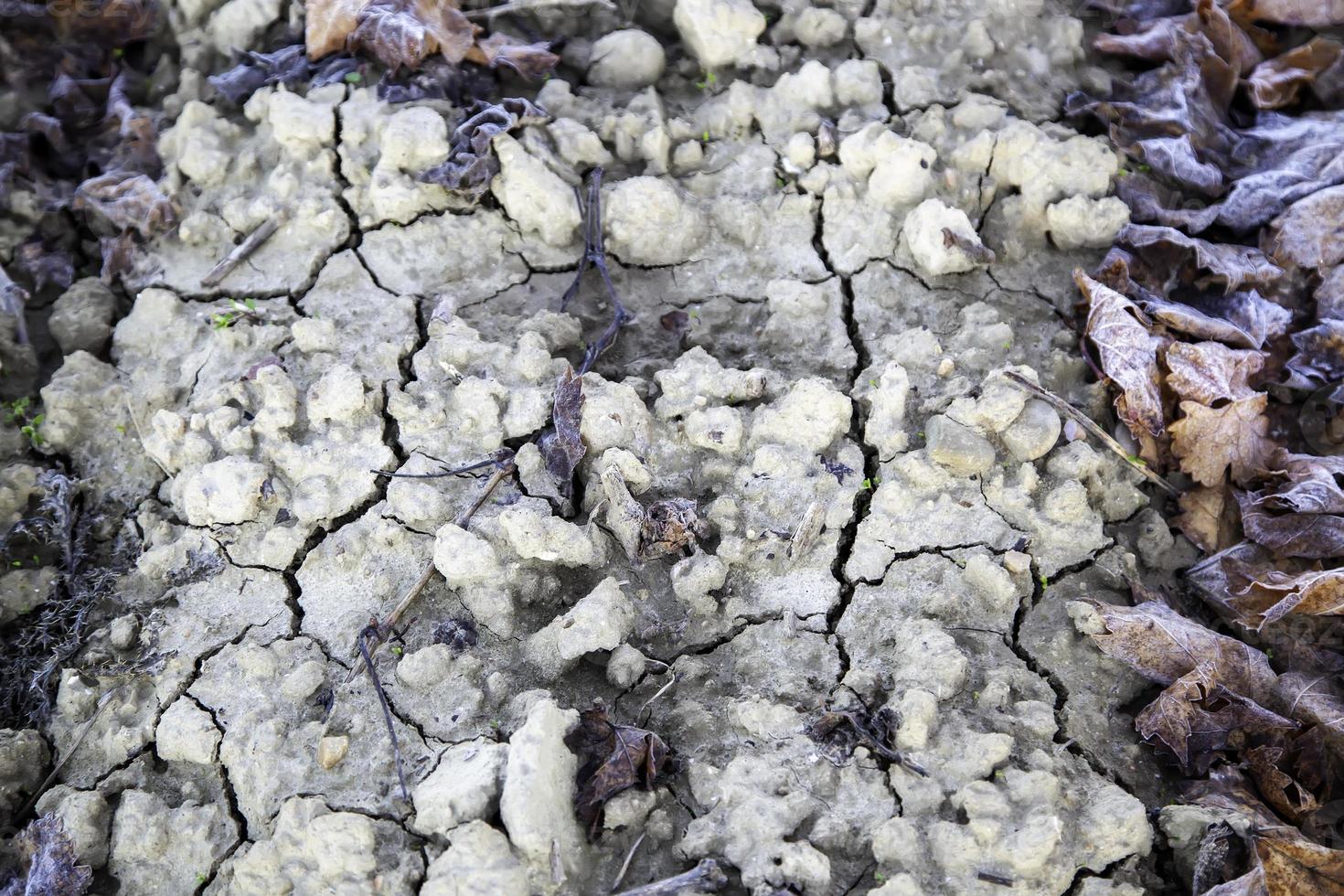 trama di terra screpolata foto