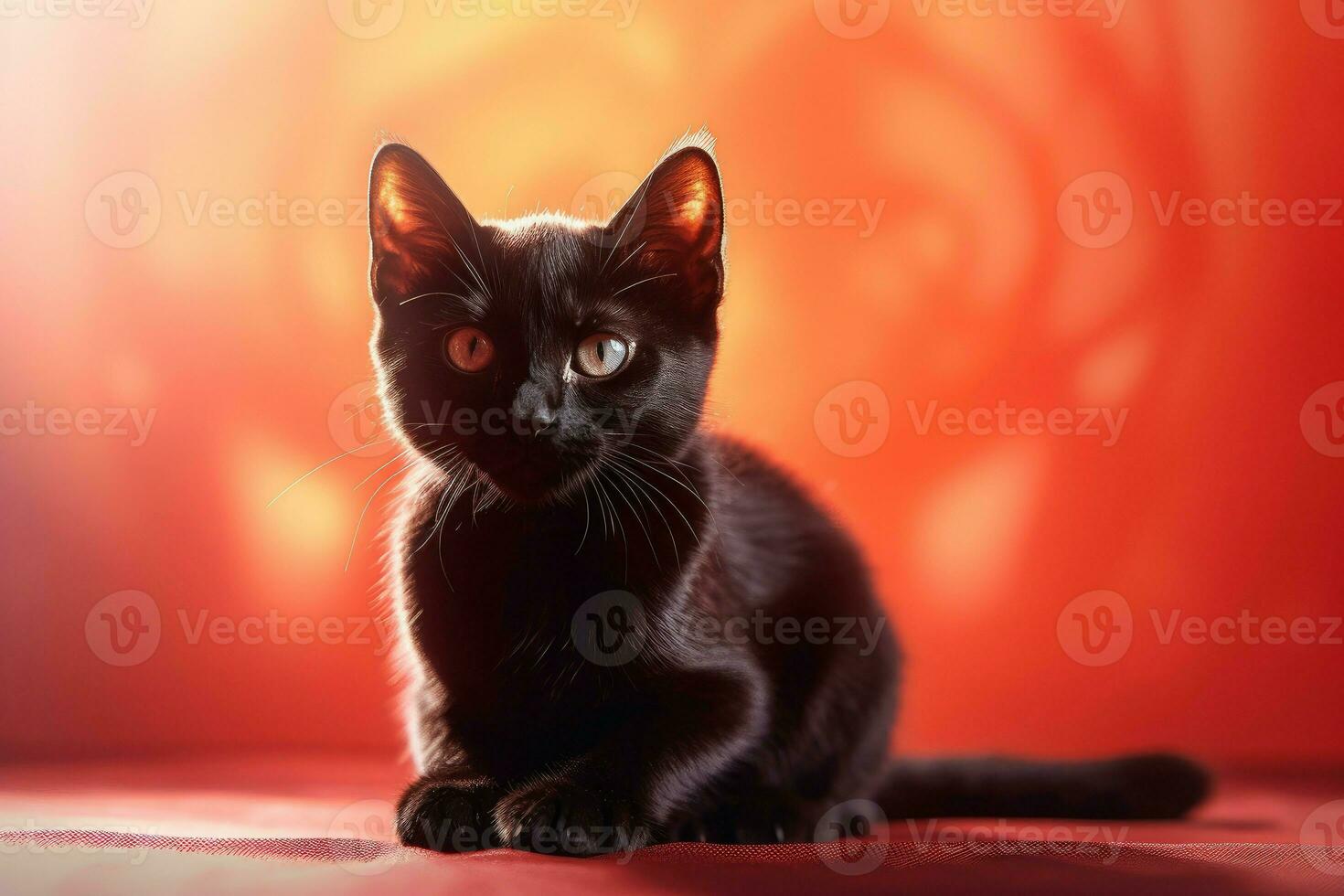 gatto nero rosso luce. creare ai foto