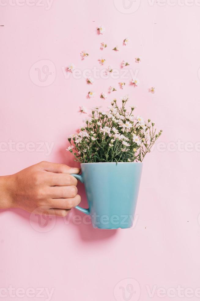 crisantemi in una tazza blu su sfondo rosa foto