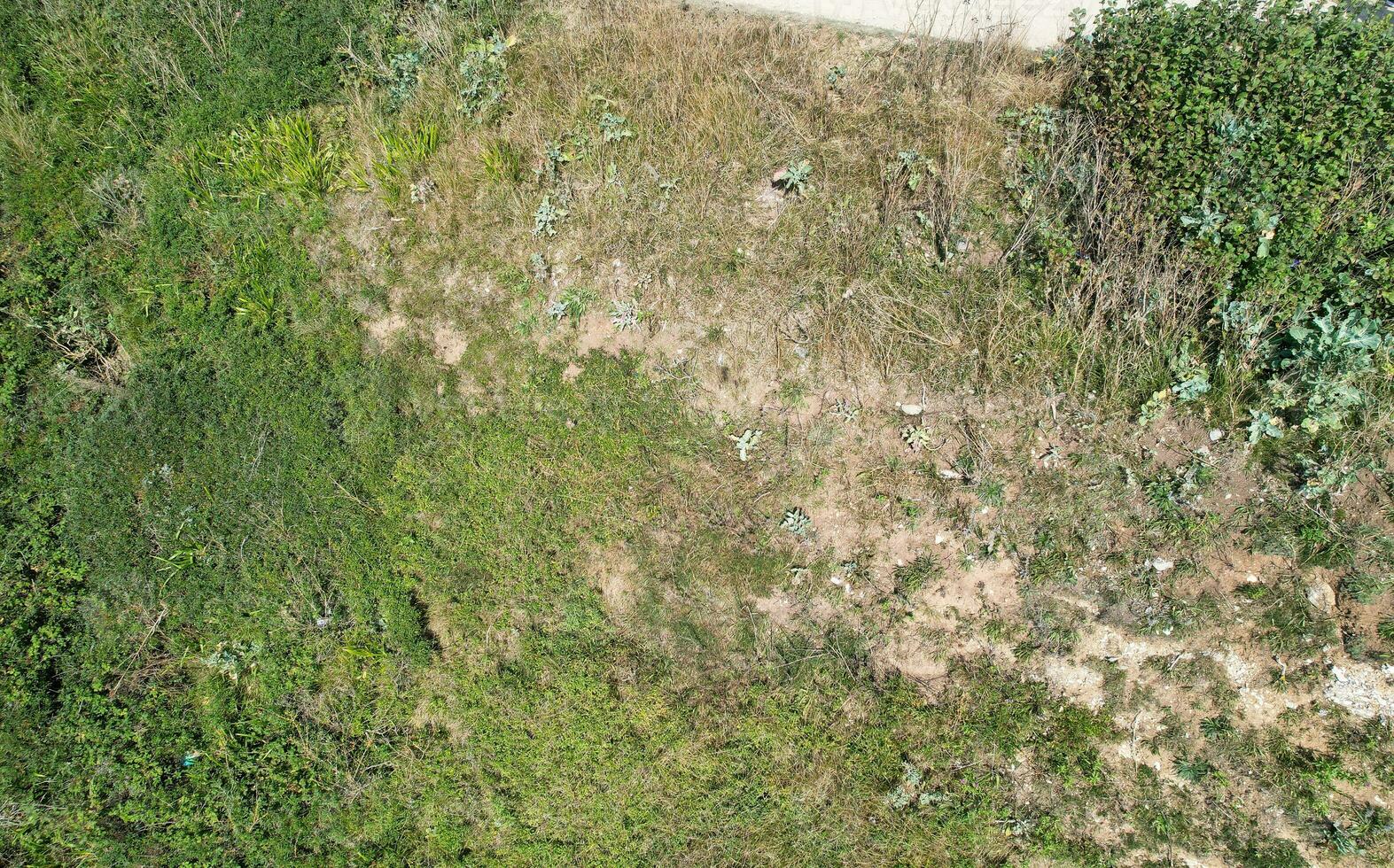 alto angolo Visualizza di persone siamo si avvicina per durdle porta spiaggia quale è maggior parte famoso turista attrazione posto attraverso a piedi distanza al di sopra di paesaggio e colline. catturato su settembre 9, 2023 foto