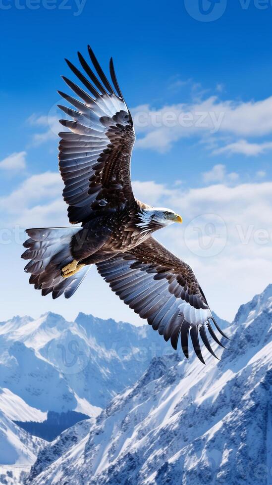 maestoso aquila Soaring sopra un' incontaminato, snow-capped montagna gamma sotto un' blu cielo ai generativo foto