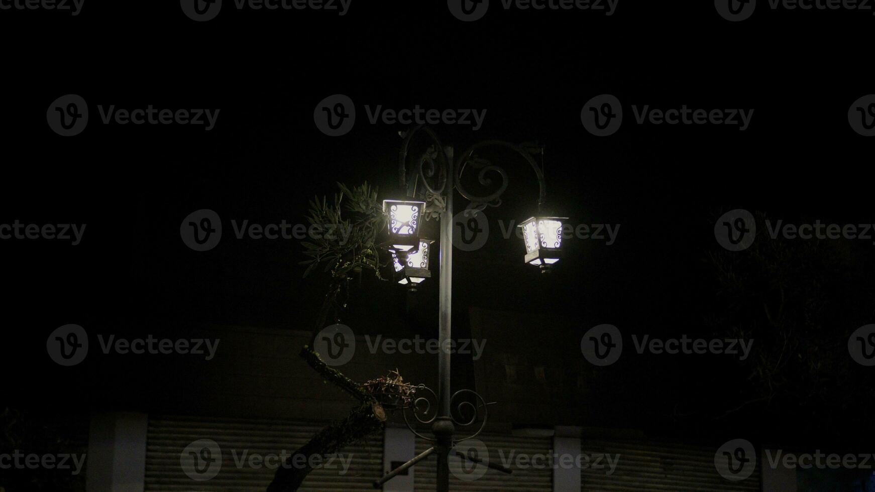 classico strada lanterna luci nel il parco a notte. foto