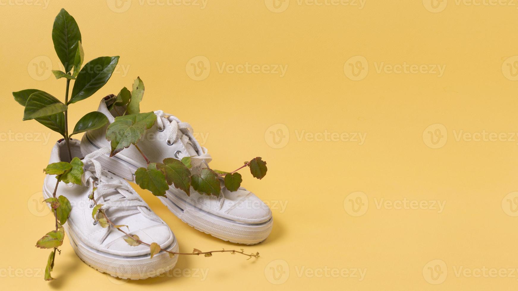 disposizione degli elementi di stile di vita sostenibile di natura morta foto